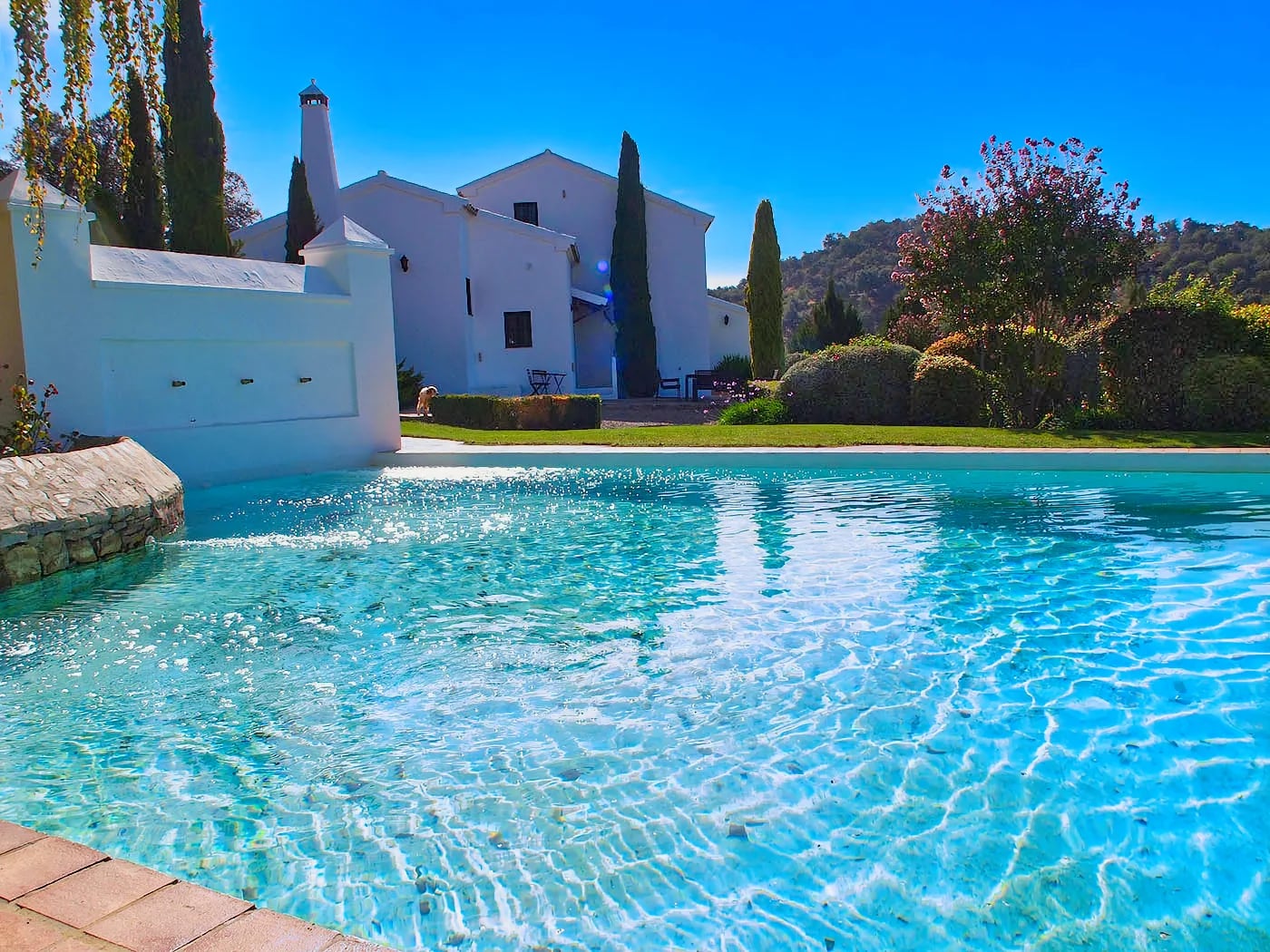 Equestrian Estate with Guest House