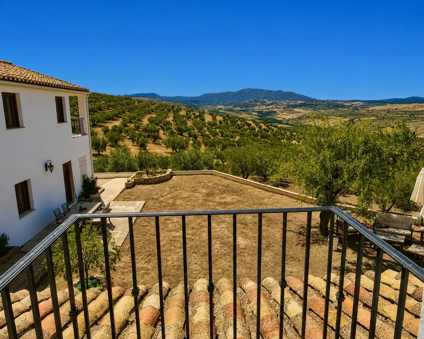 Magnificent Country House, Productive Olive Grove, High Income Yield