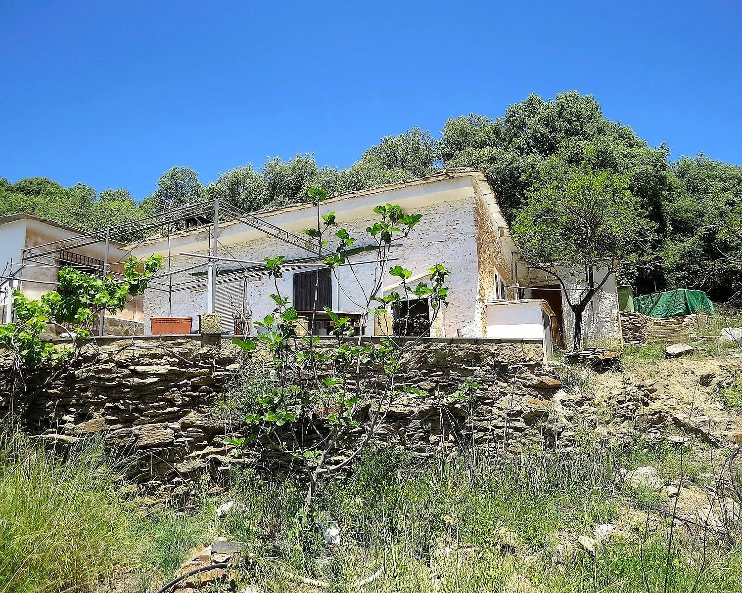 Pequeño cortijo, gran terreno y vistas
