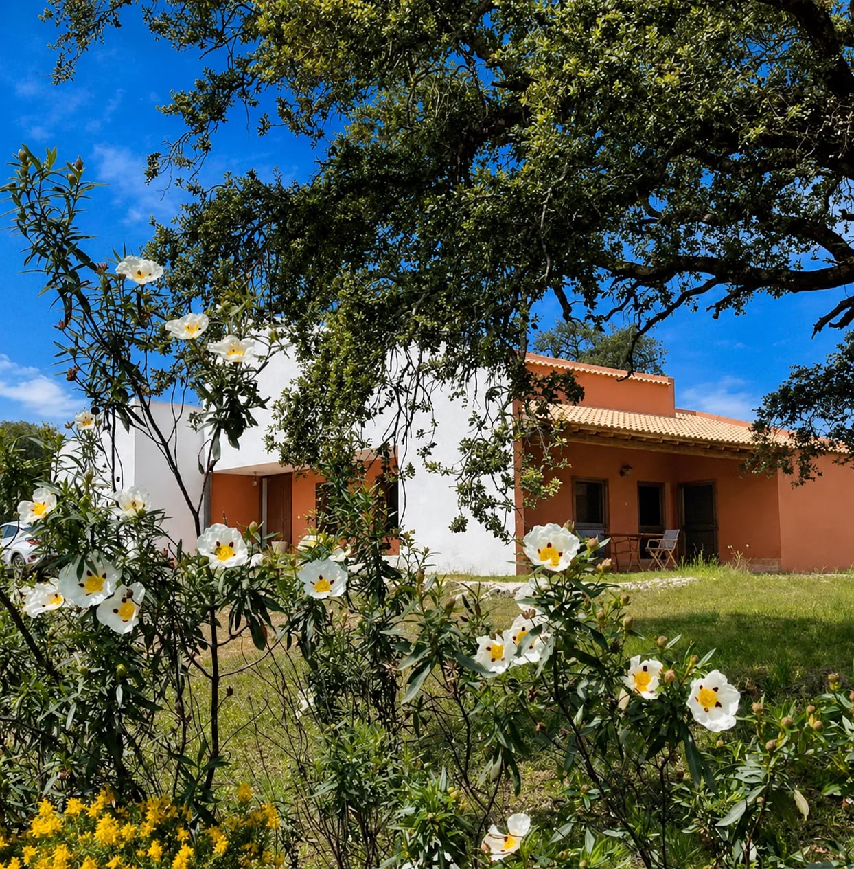 Cortijo & 2 Casitas