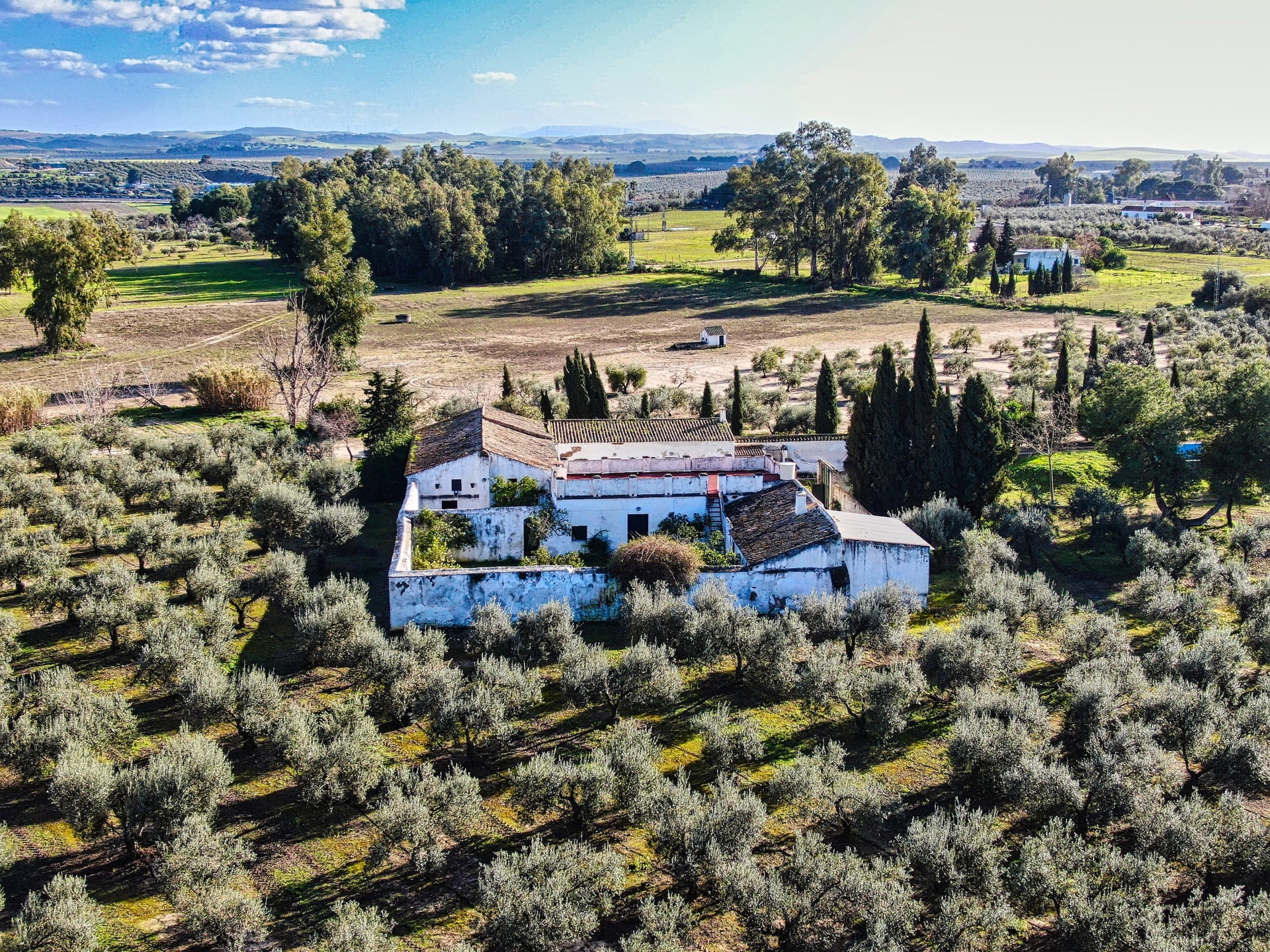 Traditional Cortijo with Olive Grove