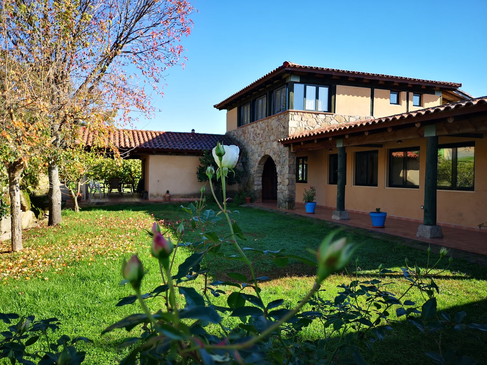 Country House, Meadow, Extensive Outbuildings