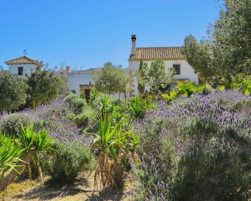 Gorgeous Country House in Osuna