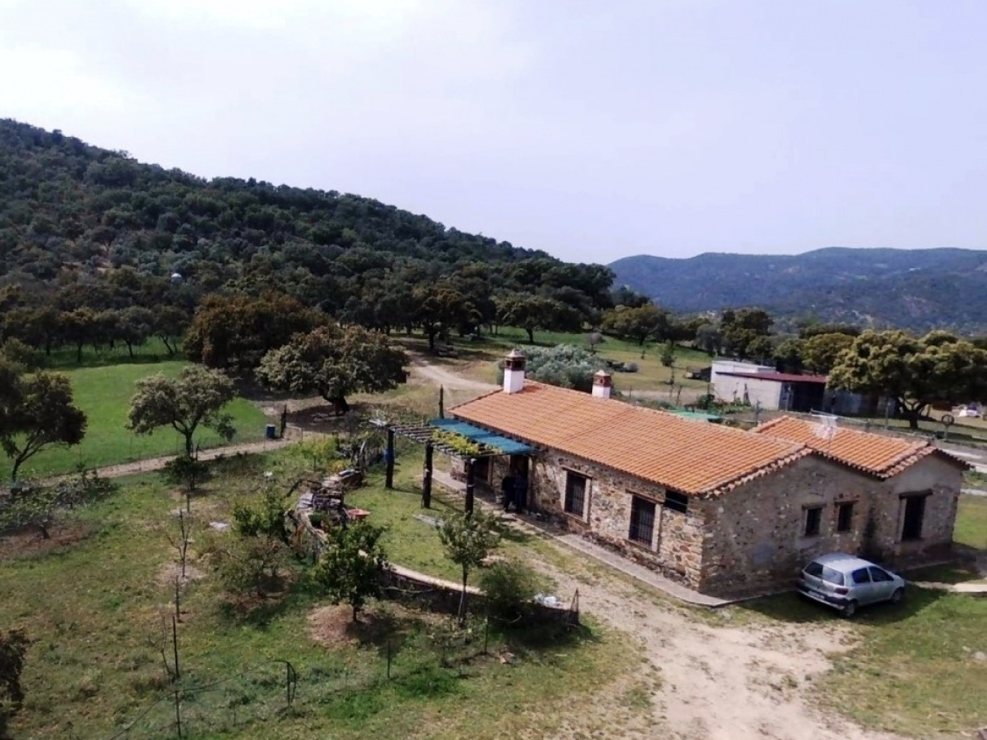 Large Finca with Equestrian Facilities