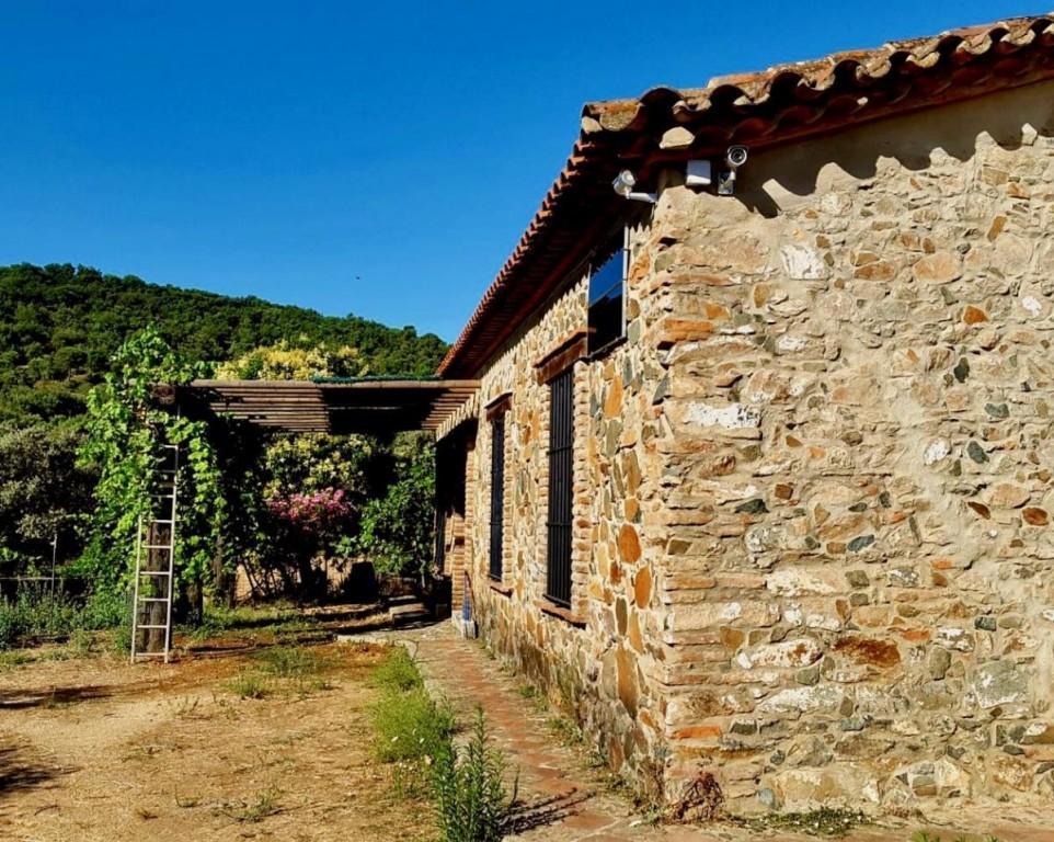 Large Finca with Equestrian Facilities