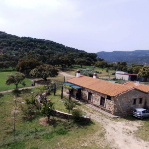 4020, Large Finca with Equestrian Facilities