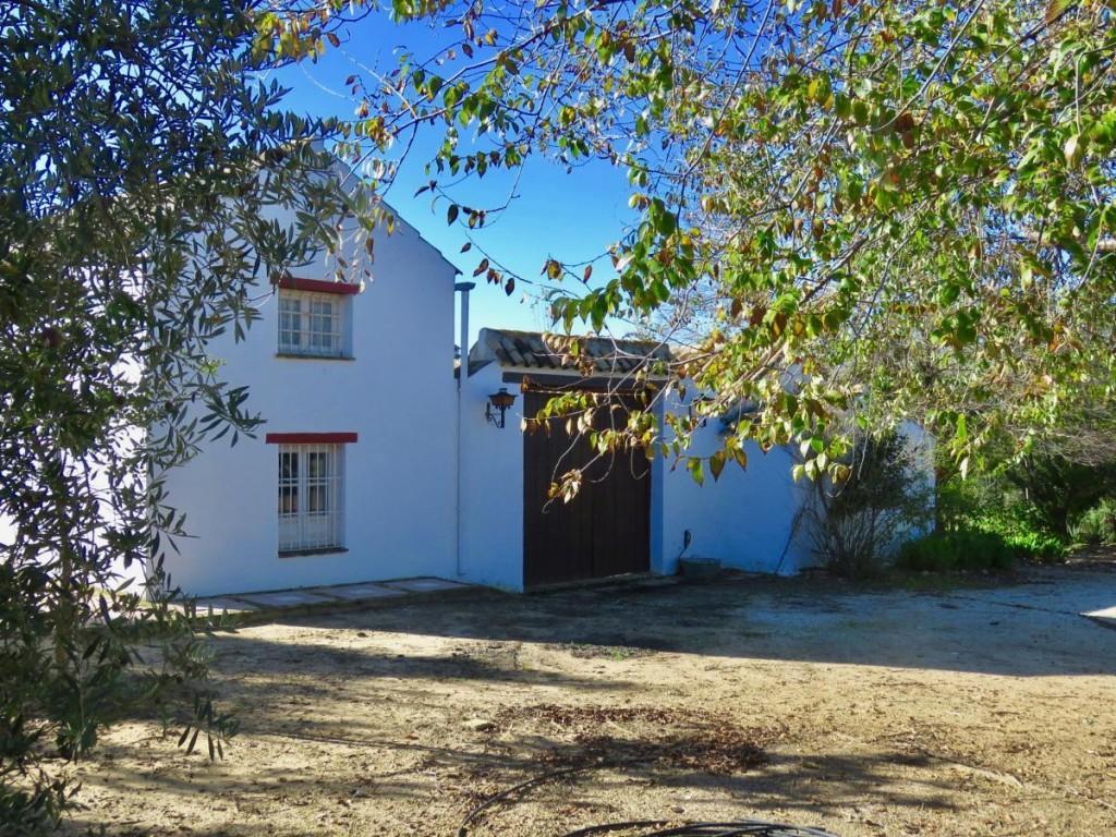 Country House in Centre of Flat Land