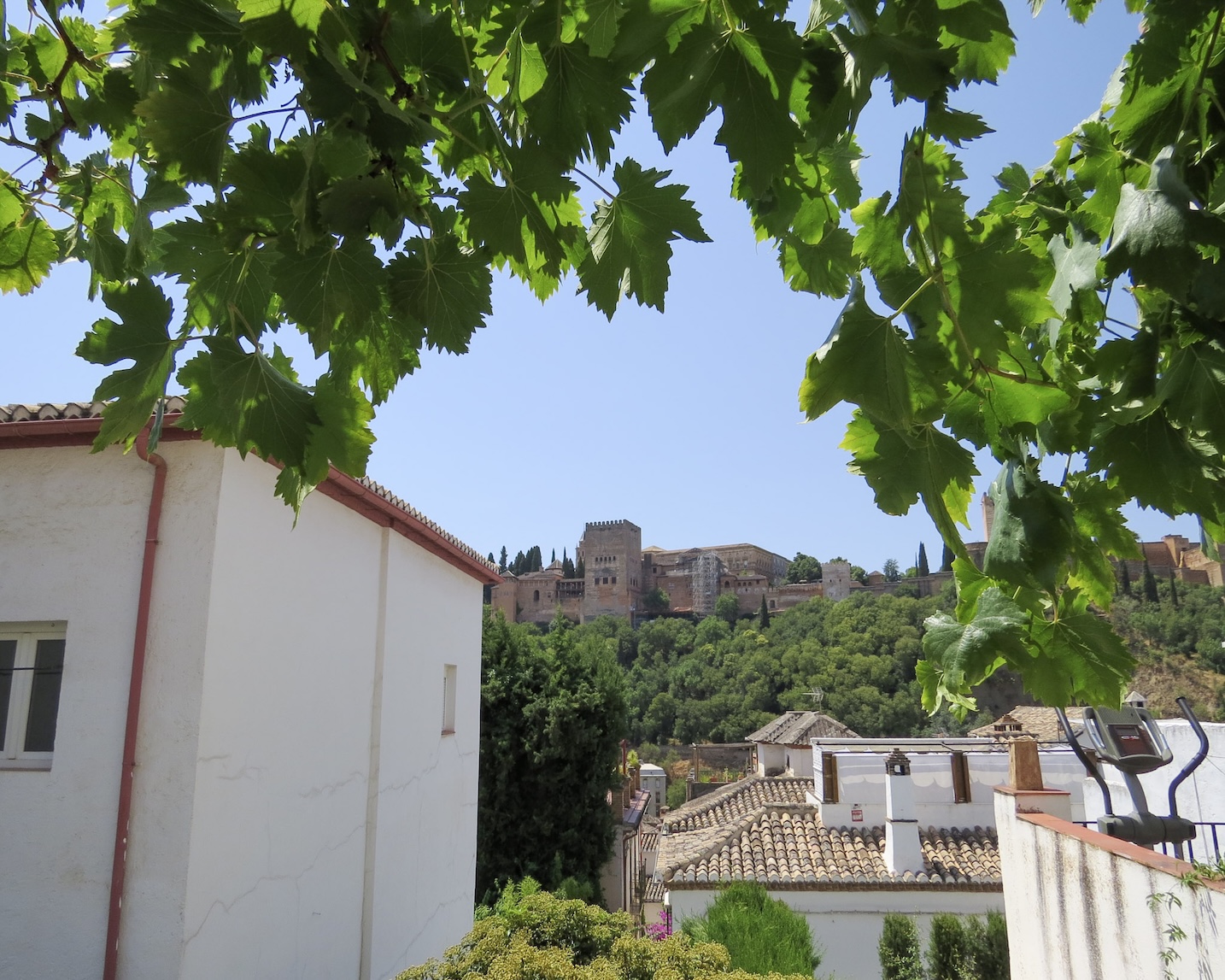 24-IMG_4310