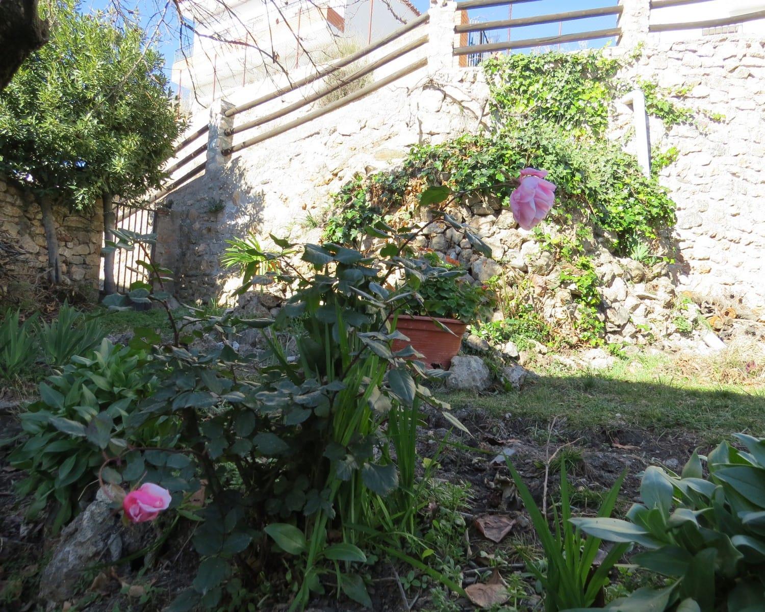 Village House with Salt Water Pool and Garden