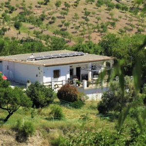 3838, Traditional Style Cortijo & Stables