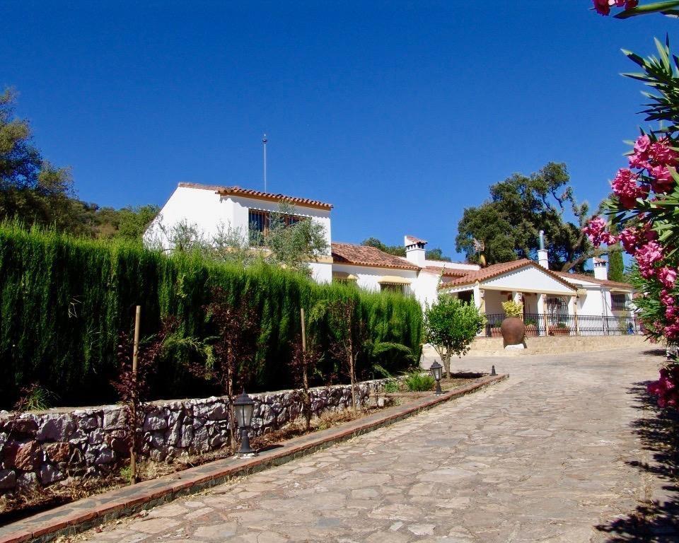 Country House, Separate Apartment