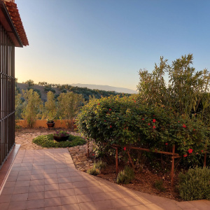 3626, Private, Energy Efficient Cortijo with Pool