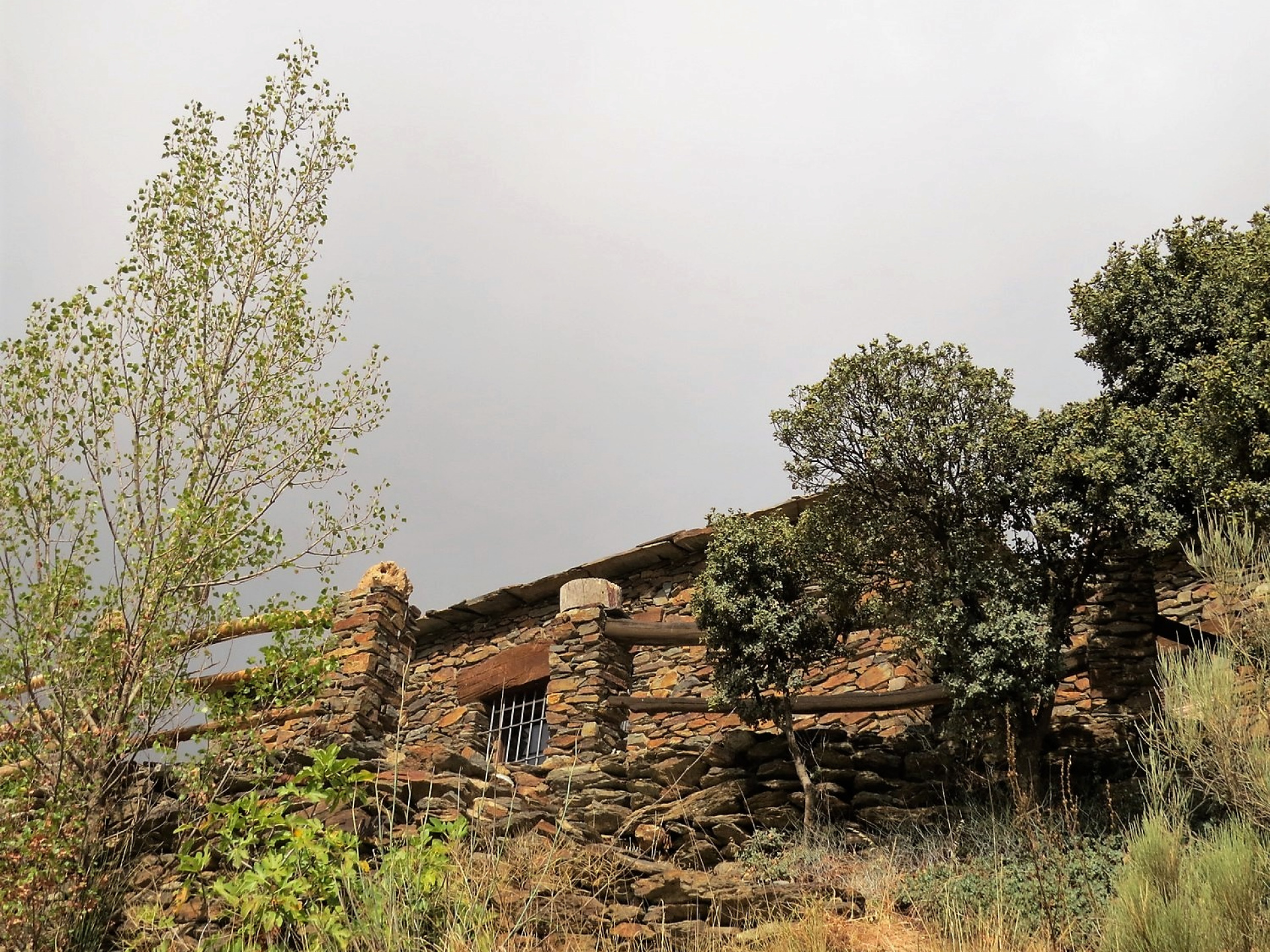 Remote Traditional Cortijo with Land