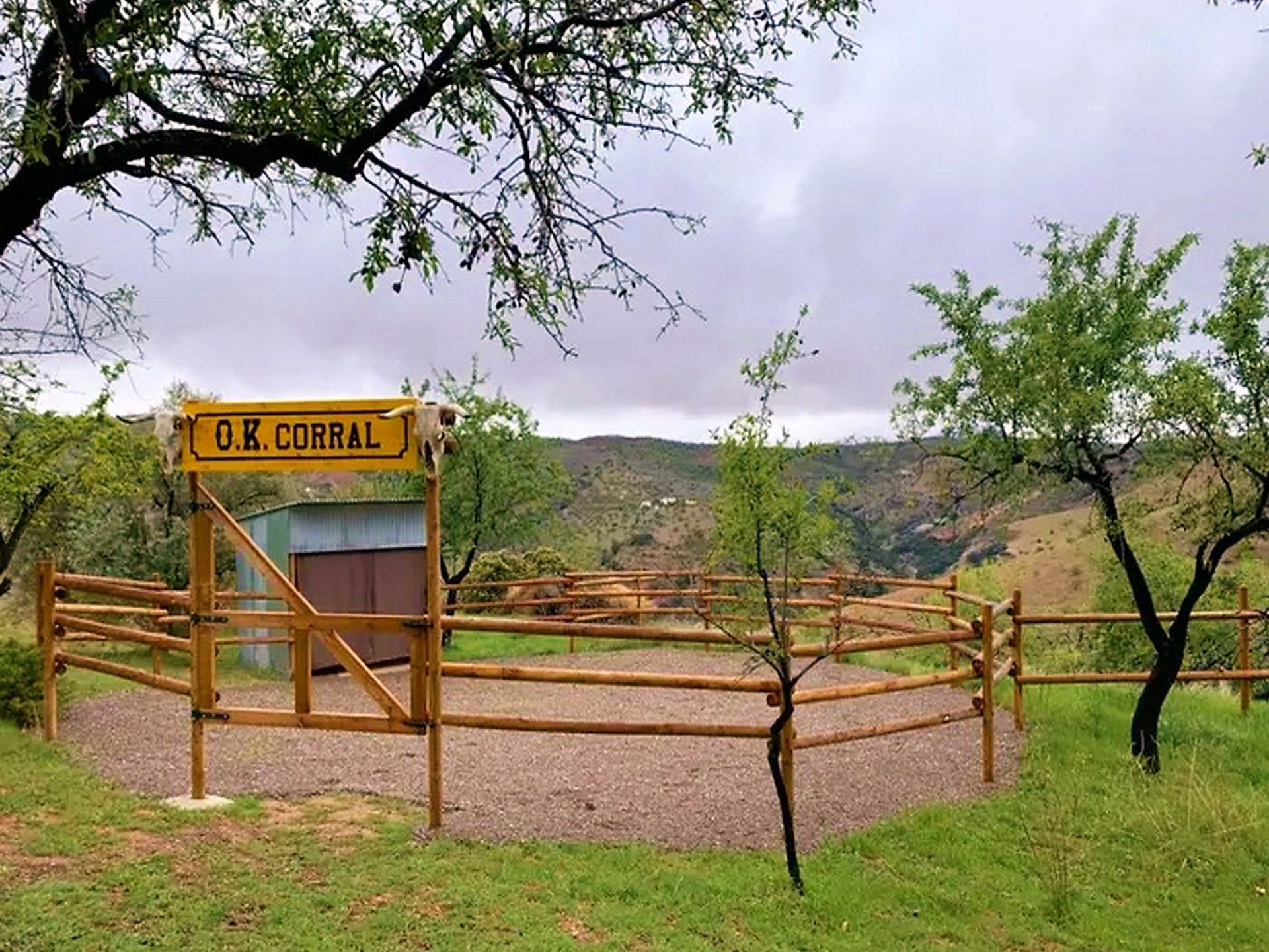 6a