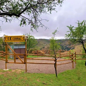 6a