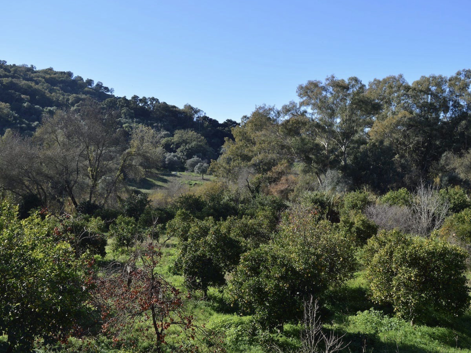 DSC_0060