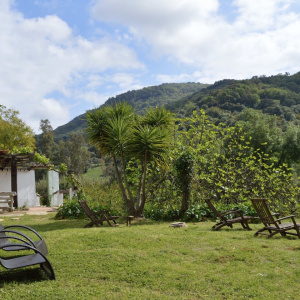 jardin2