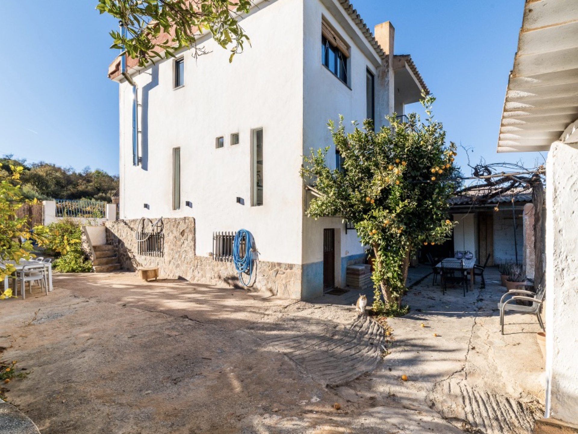 Completely Renovated House, Citrus Orchard