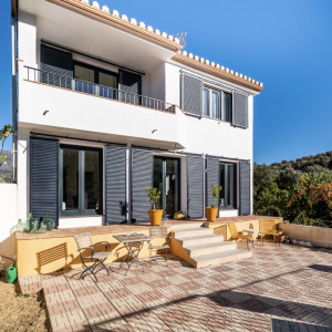 4800, Completely Renovated House, Citrus Orchard