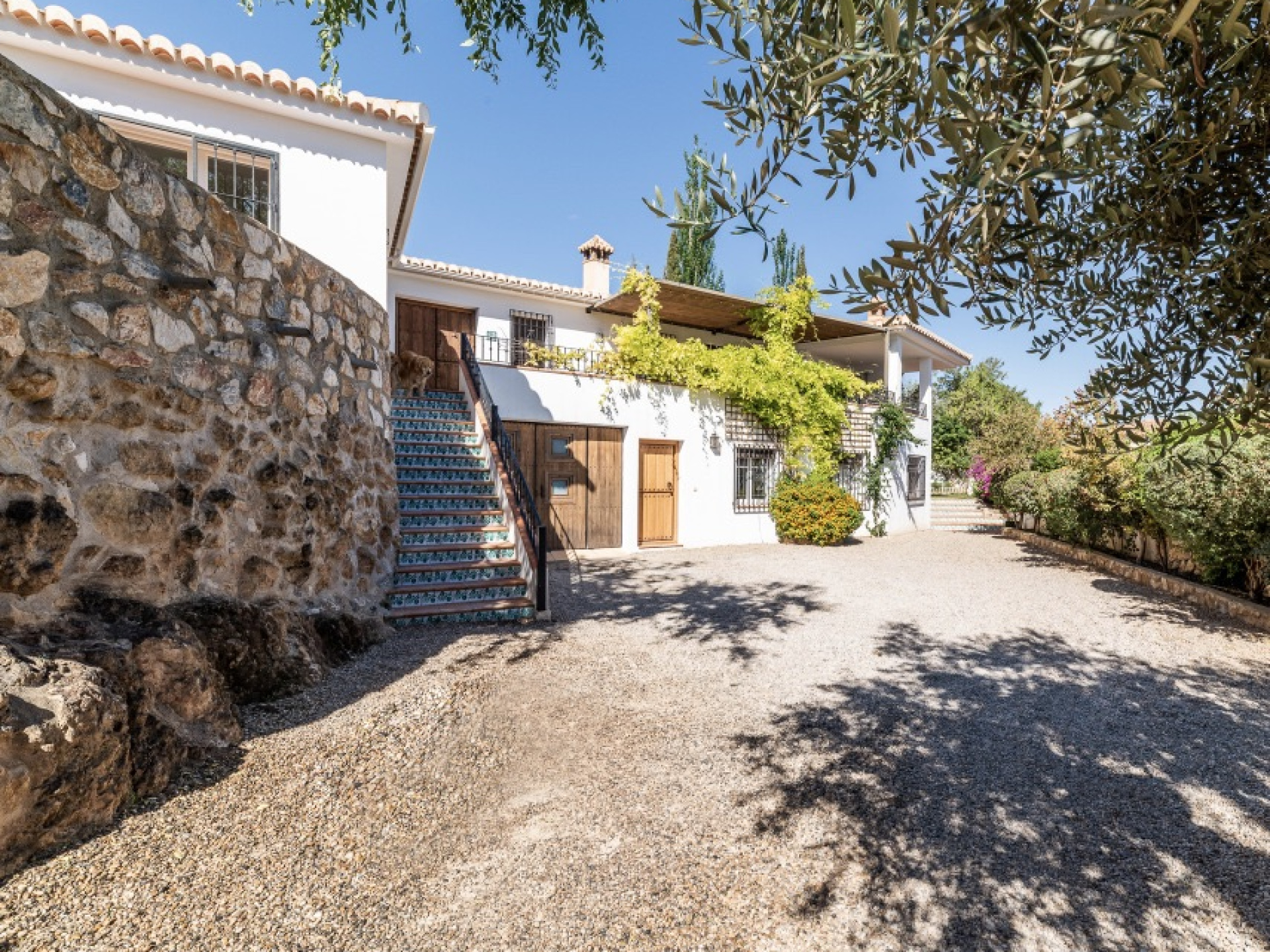 Casa FIONA (4)