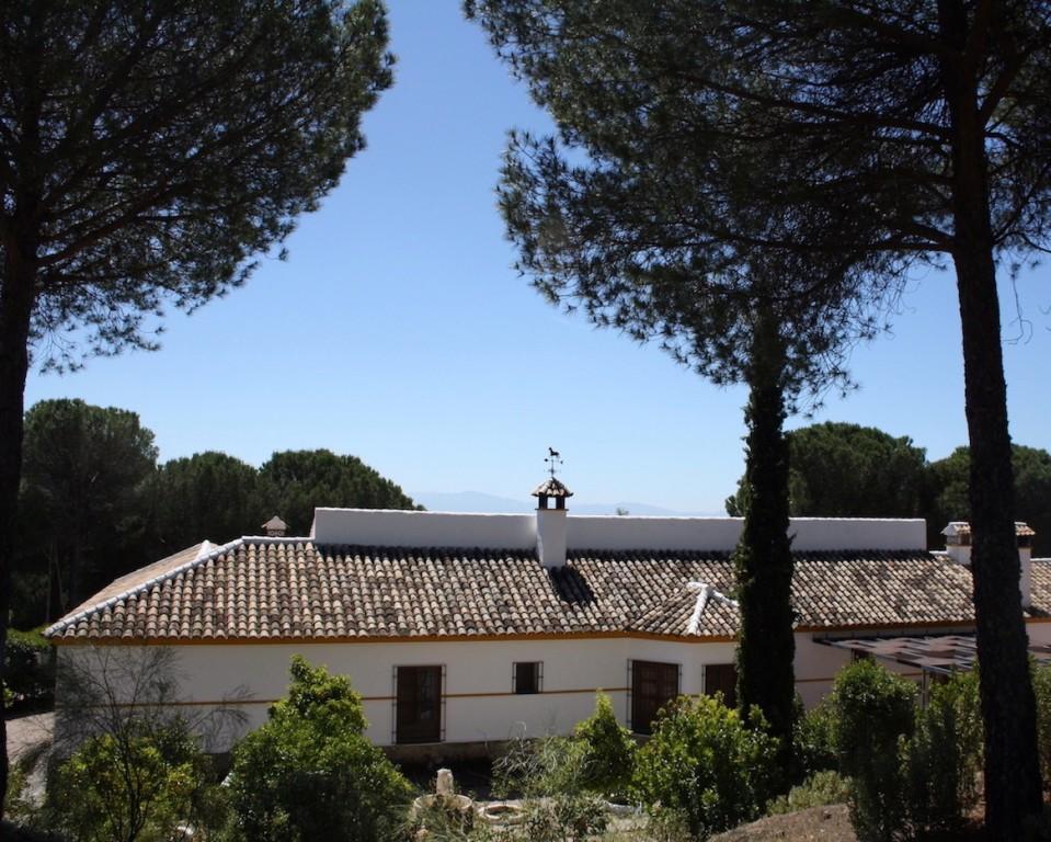 Cortijo/ Country House in Andujar
