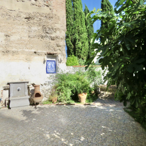 IMG_6244