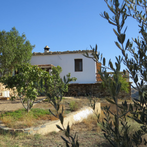 3884, Country Property
