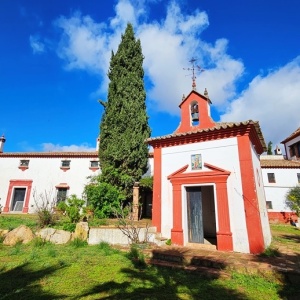 4049, Authentic Century-Old Farmhouse on Extensive Estate