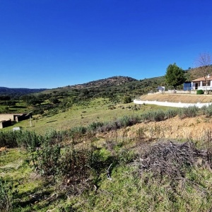 4048, Renovated Country House with Springs & Views