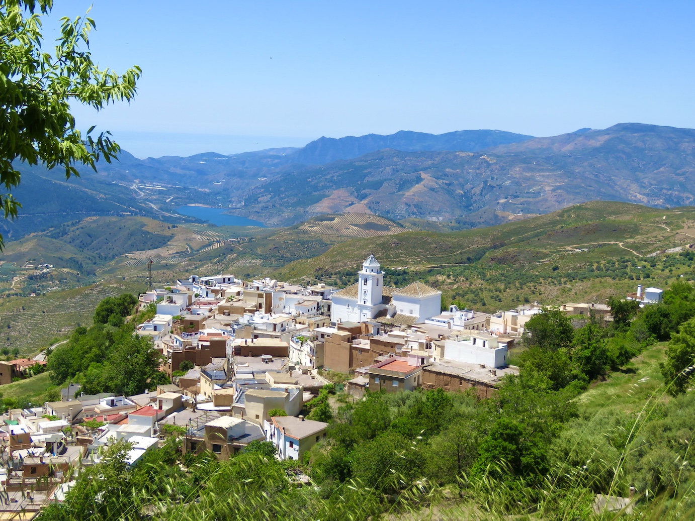 Cañar