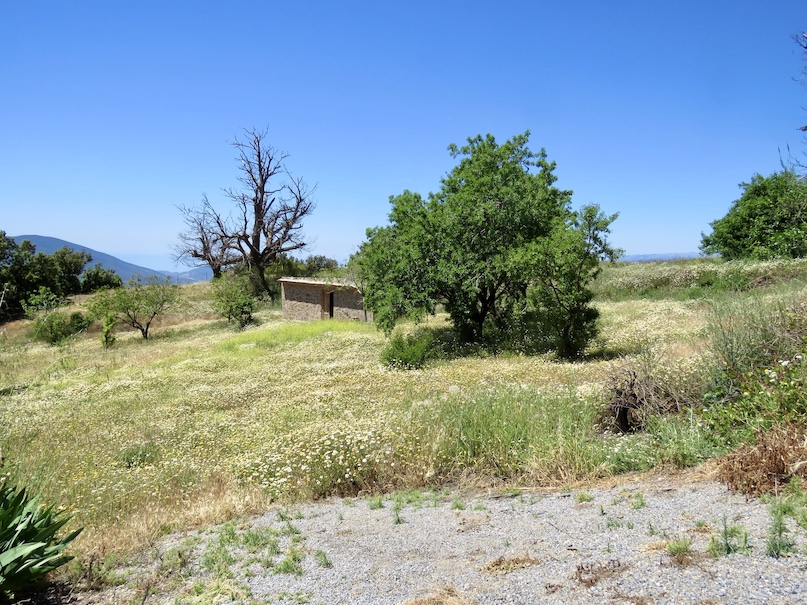 Land 3