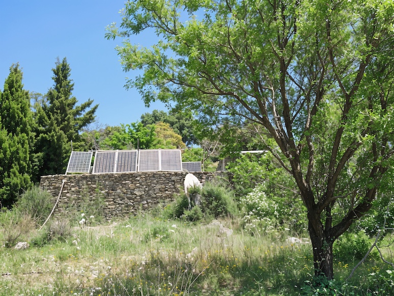 Solar Panels 1