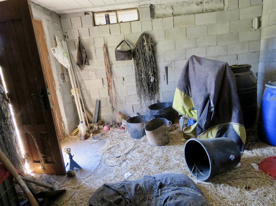 Stable 3