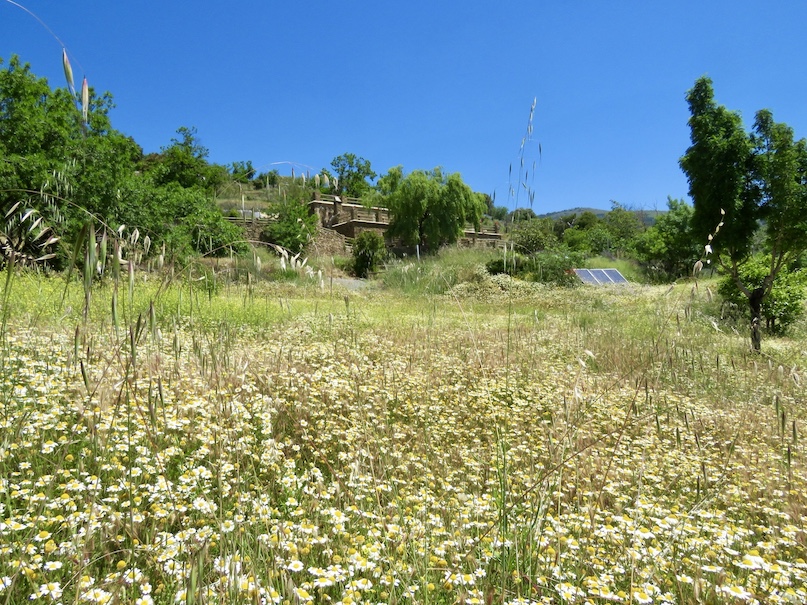Land 2