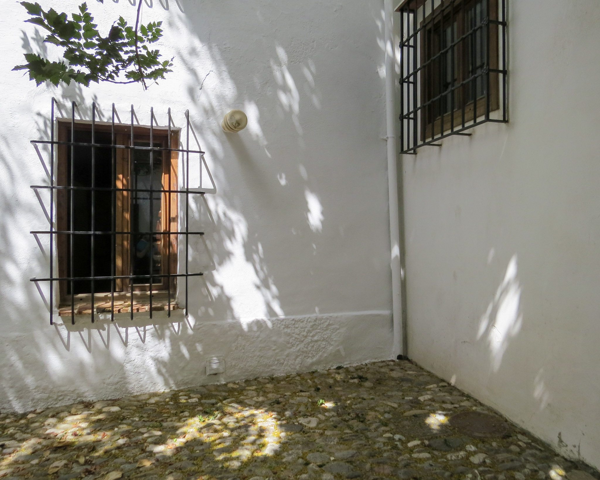 35-IMG_4250