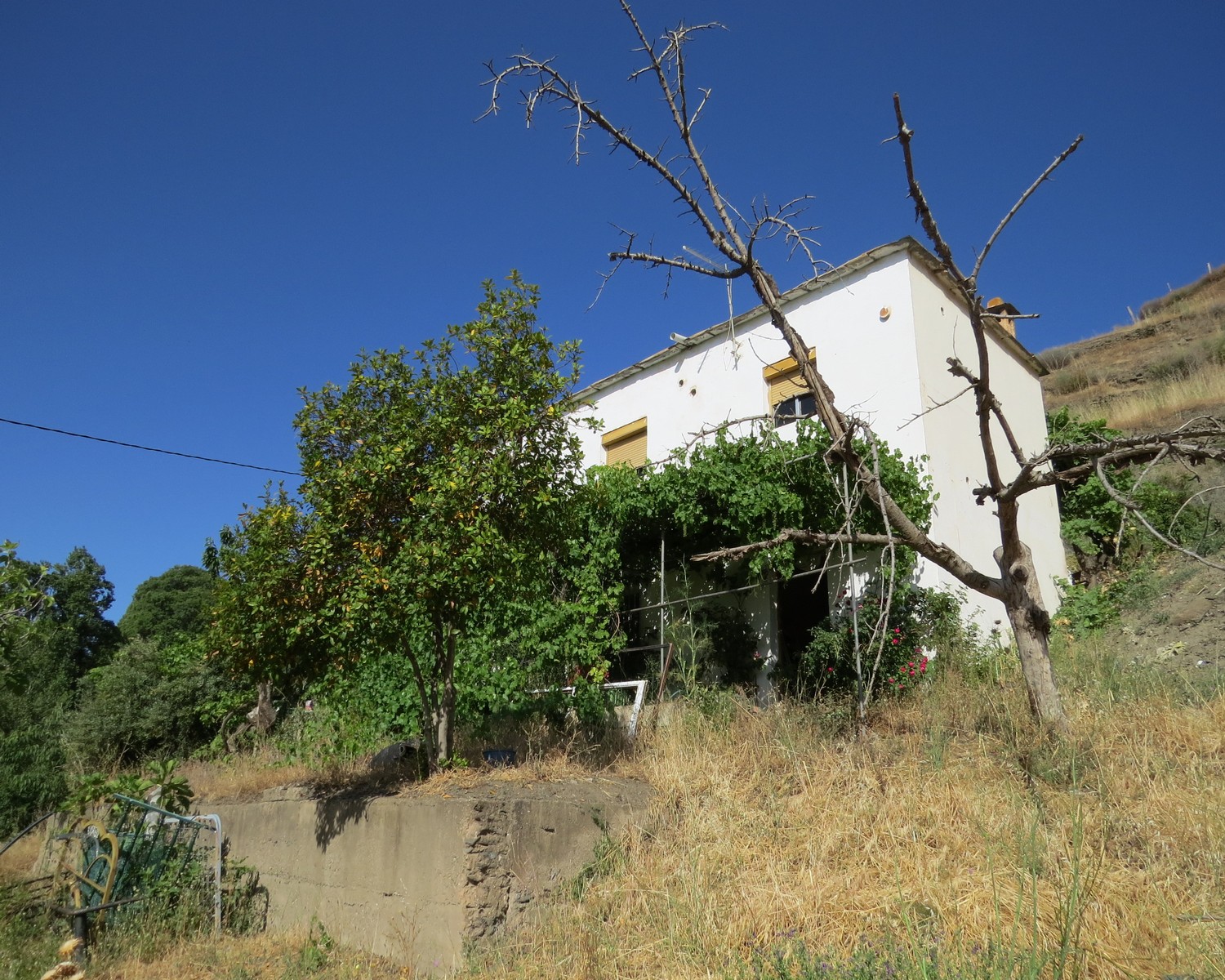 Detached Country Property