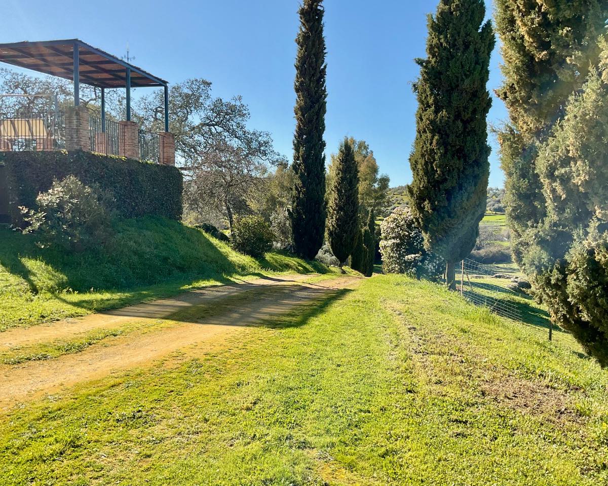 ENTRADA A FINCA DESDE CAMINO - copia - copia - copia