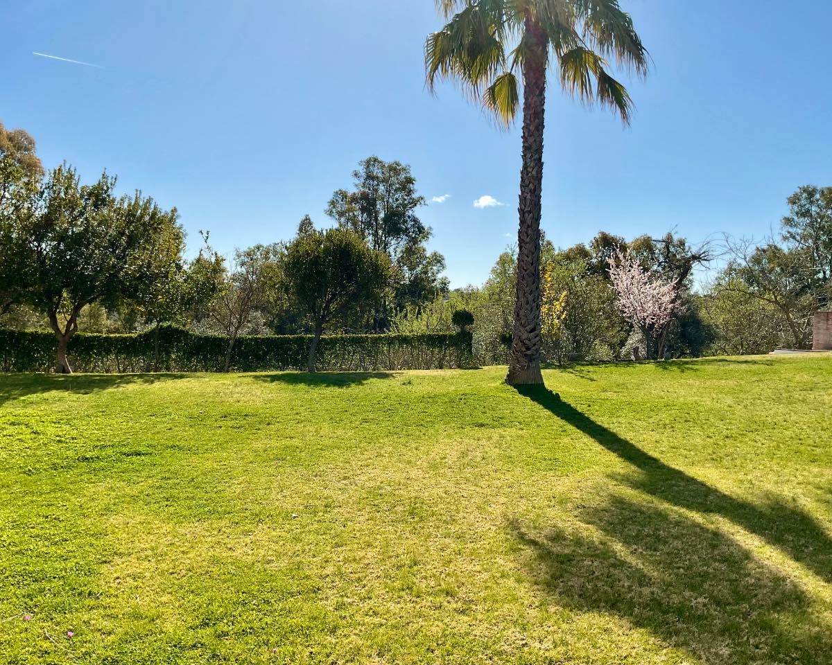 JARDIN 1 - copia - copia (2)