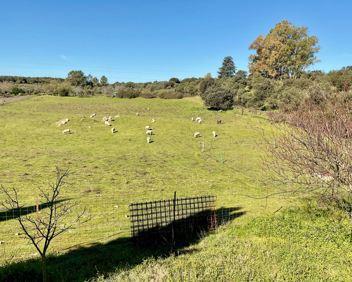 PARTE DE LA FINCA 2 - copia - copia