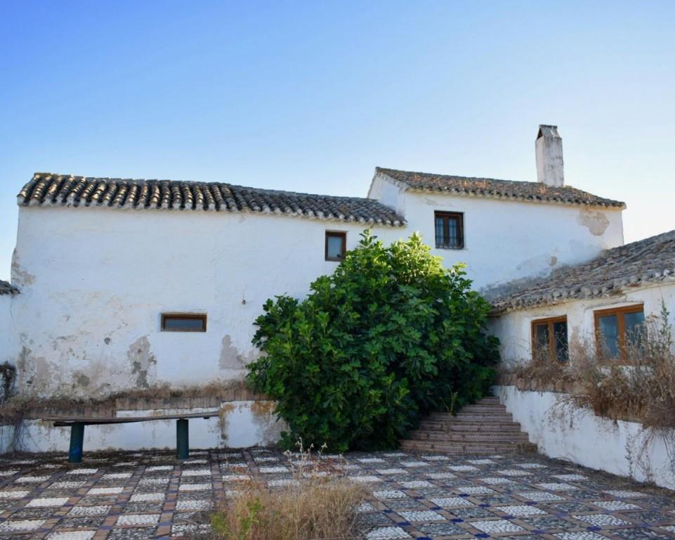 Large Finca & Andalucian Farmhouse