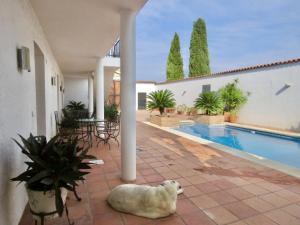 3671, Boutique Hotel,  Patio & Pool