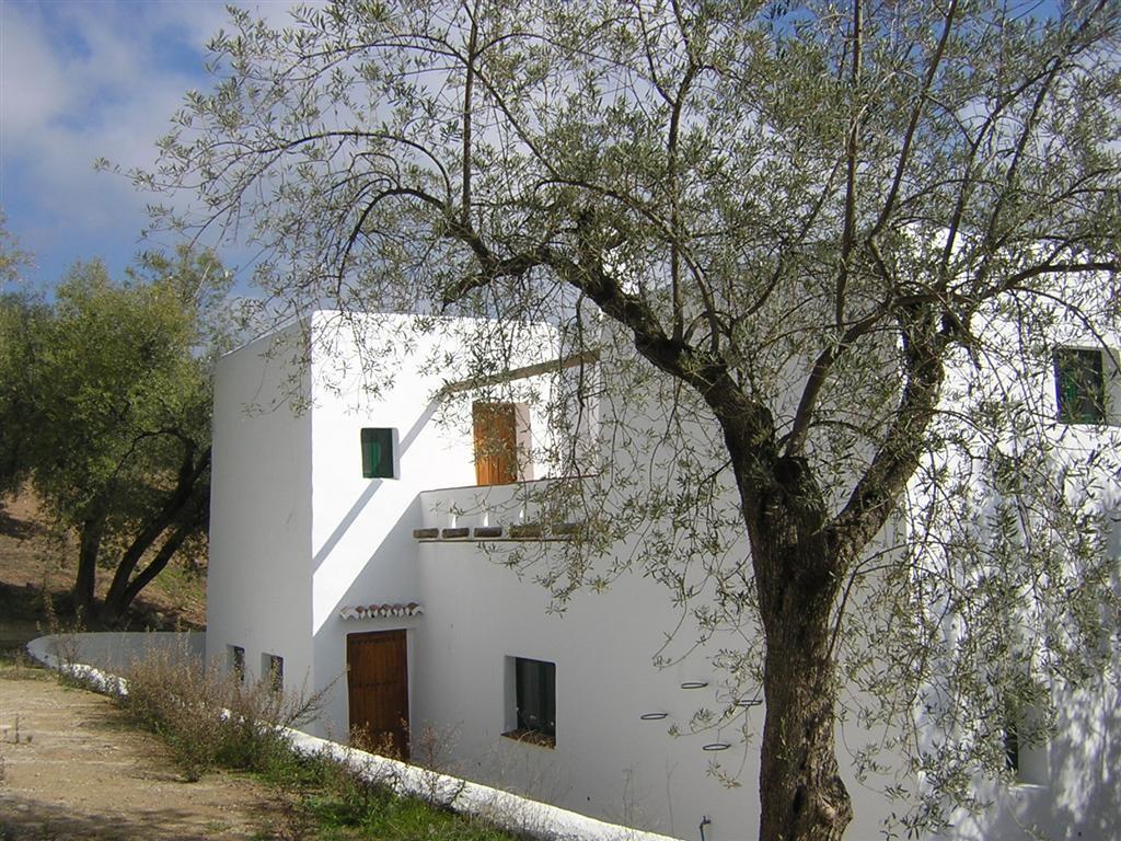 Ibizan Style Country House